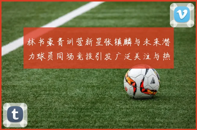 林书豪青训营新星张镇麟与未来潜力球员同场竞技引发广泛关注与热议